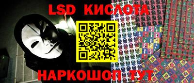 гидропоника Бийск