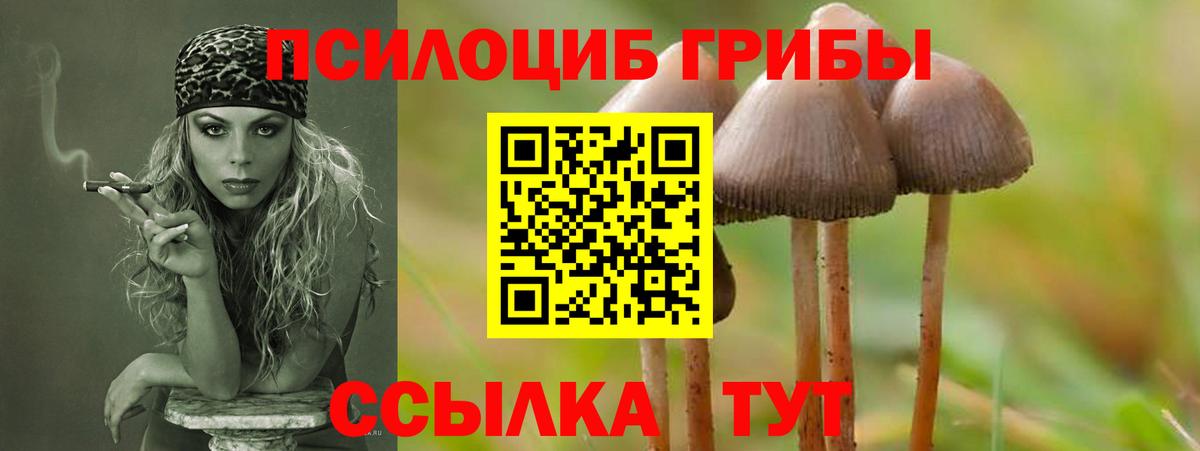 Псилоцибиновые грибы ЛСД  Вход с VPN  Видное 